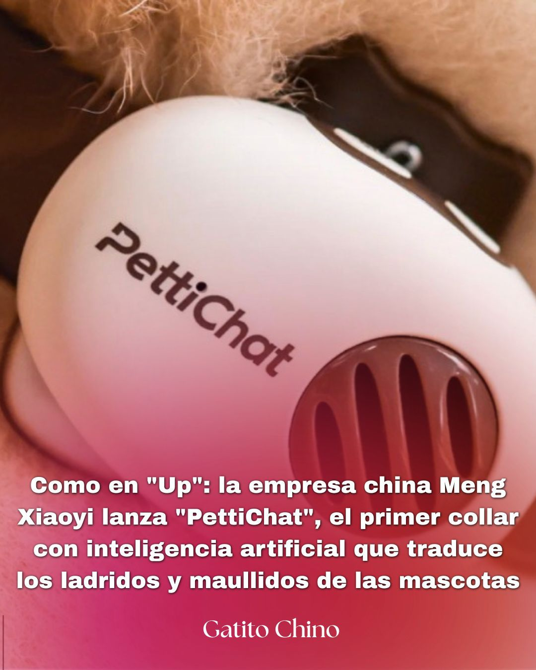 PettiChat, un dispositivo con inteligencia artificial, promete convertir ladridos y maullidos en frases comprensibles como «tengo hambre» o «quiero jugar»