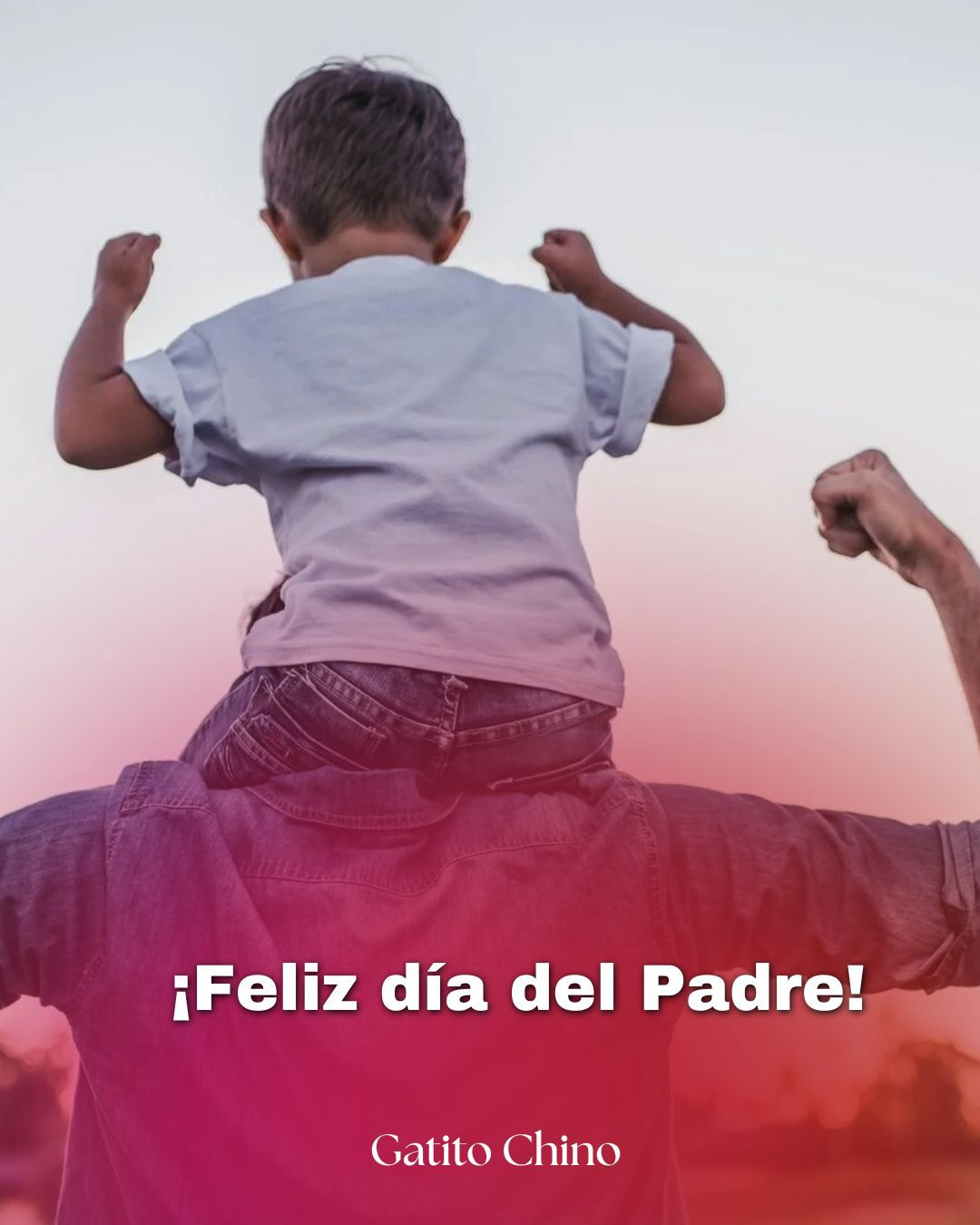Hoy se Celebra el Día del Padre