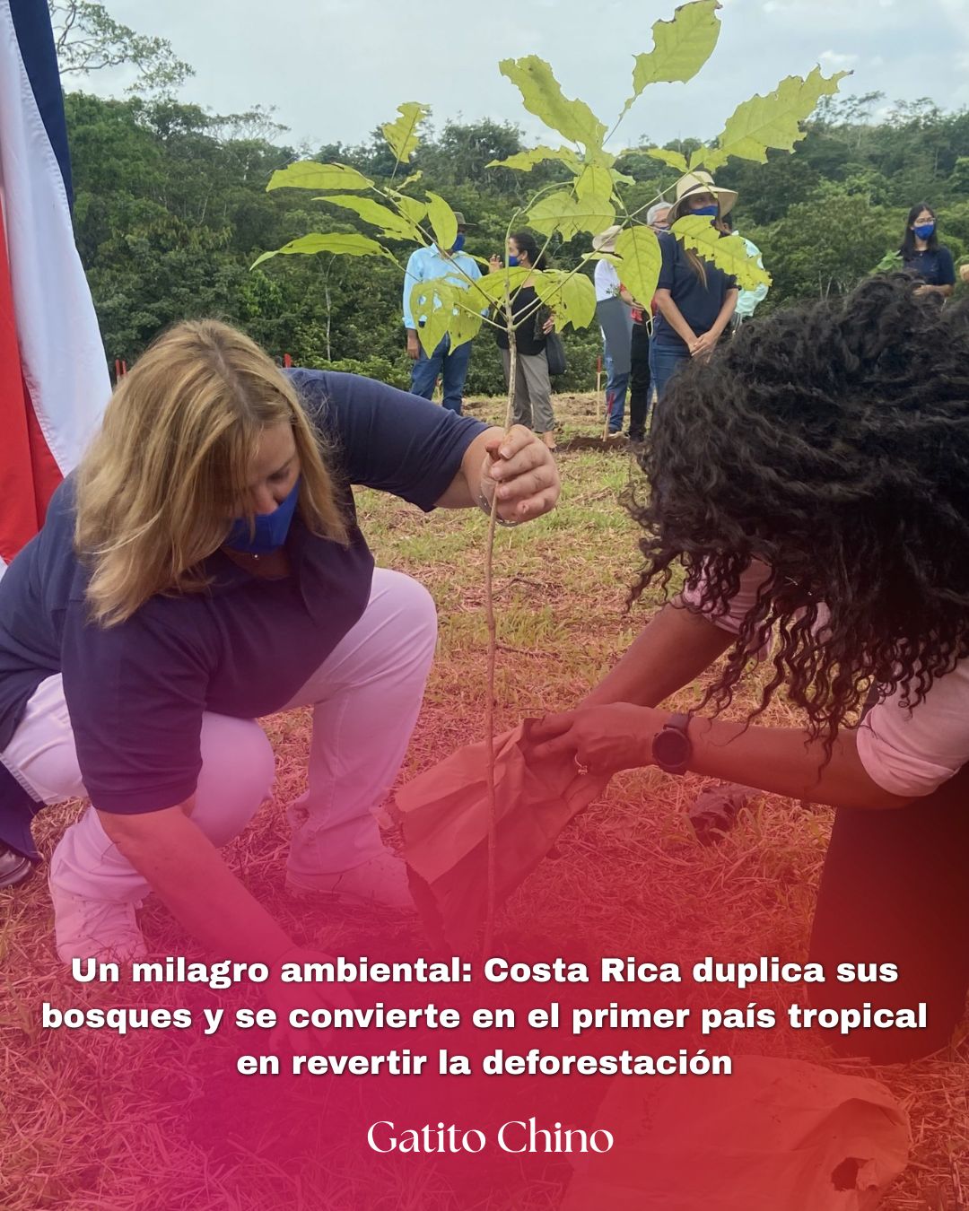 Costa Rica duplica sus bosques y se convierte en el primer país tropical en revertir la deforestación