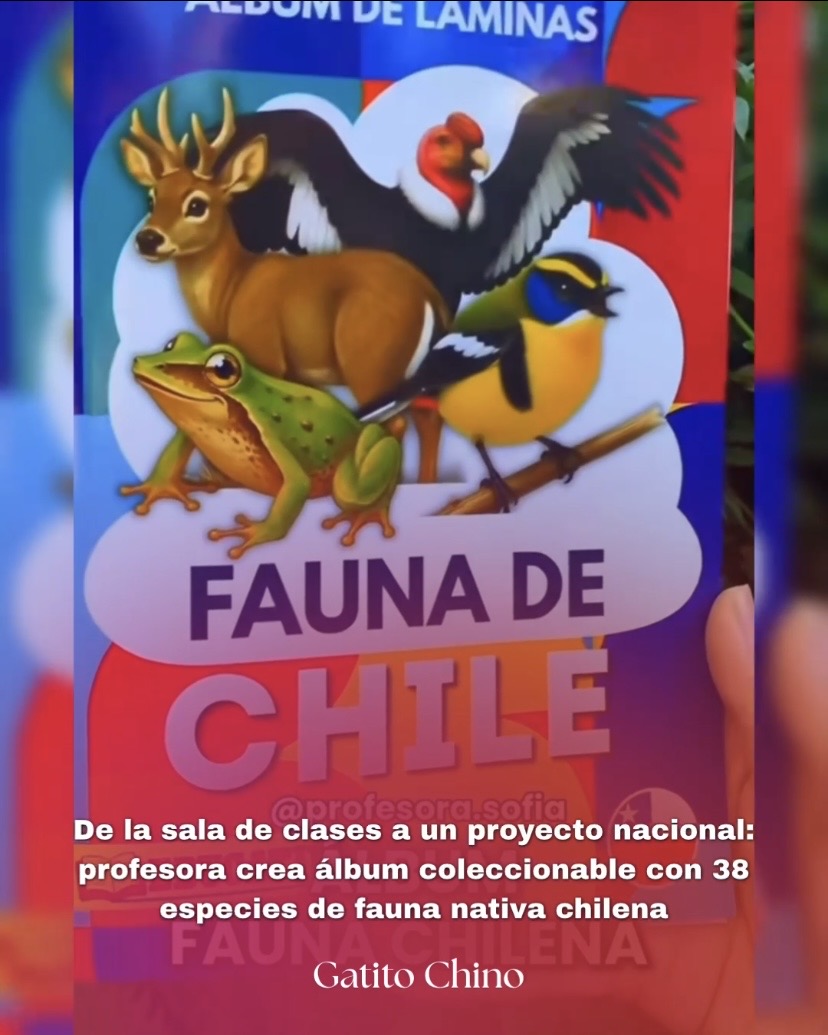 Profesora chilena crea álbum educativo con 38 especies de fauna nativa para enseñar a los más pequeños