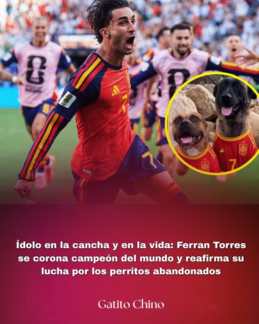 Ferran Torres se corona campeón del mundo y reafirma su lucha por los perritos abandonados