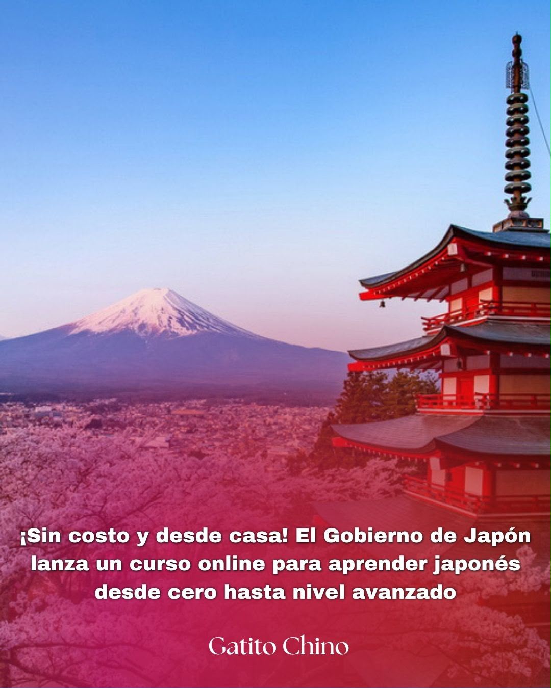 Japón abre sus puertas: curso de japonés gratuito y online para todos los niveles