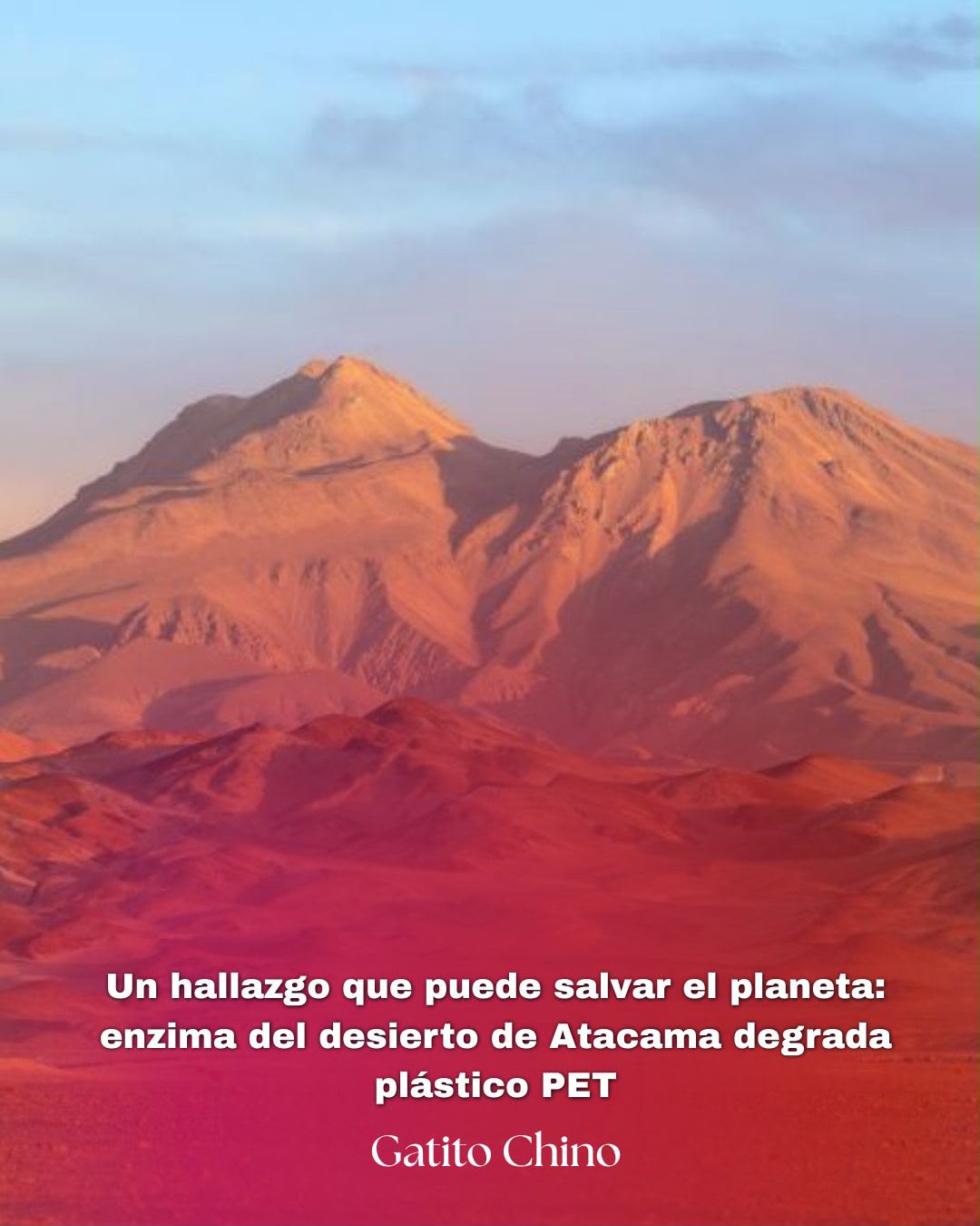 Descubren enzima en el desierto de Atacama capaz de degradar plástico PET