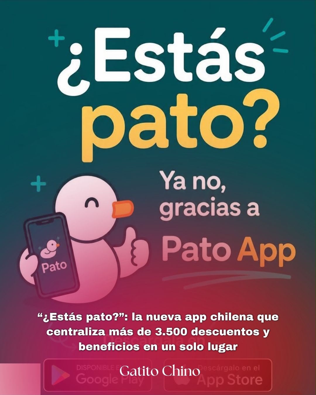 Pato App: la plataforma chilena que reúne todos tus descuentos en un solo lugar