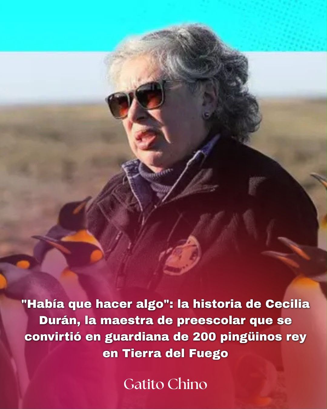 Cecilia Durán: la maestra que lo dejó todo para proteger a más de 200 pingüinos rey en Tierra del Fuego