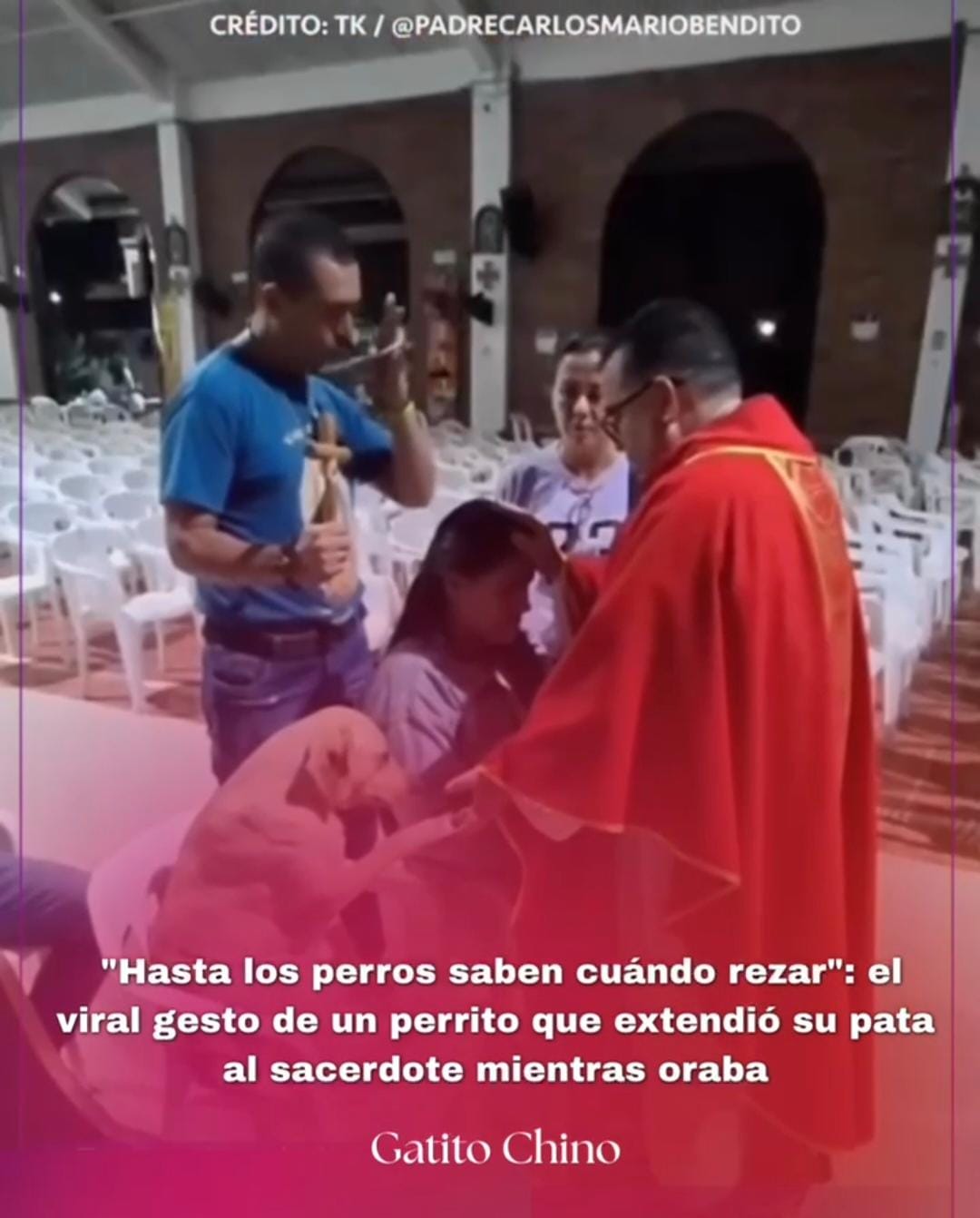 El tierno gesto de un perrito que se volvió viral en Colombia